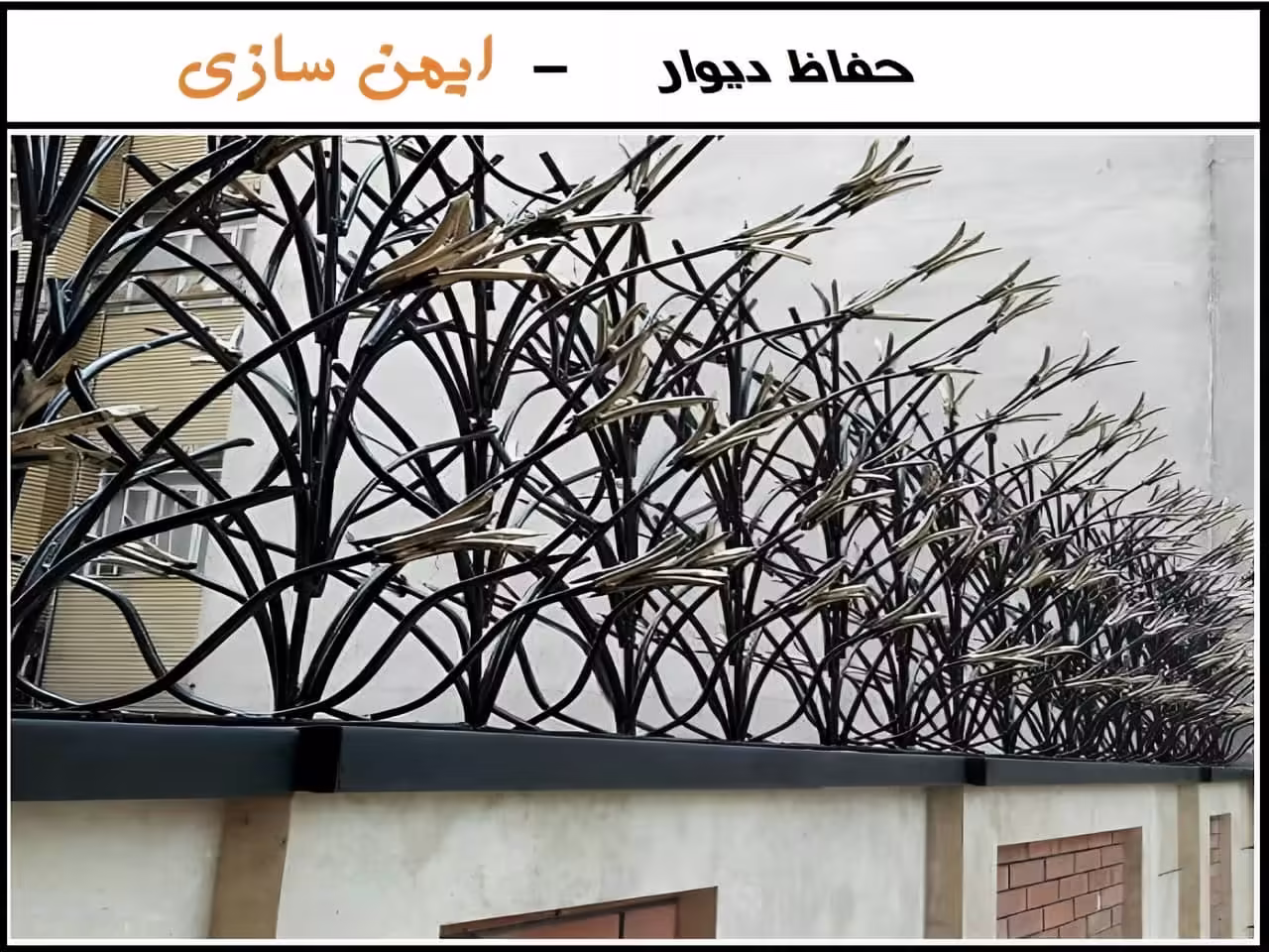 استفاده های متنوع حفاظ شاخ گوزنی