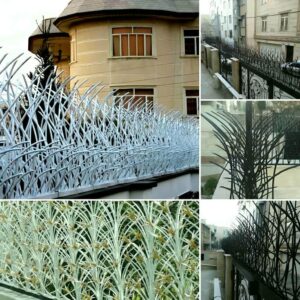 راهنمای خرید حفاظ شاخ گوزنی
