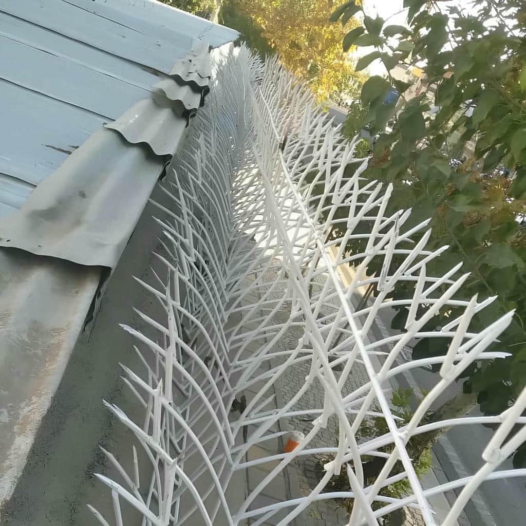 fence-wall-protection-deer-antler-spear-ms حفاظ شاخ گوزنی مدل بوتهای