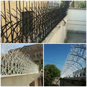حفاظ شاخ گوزنی دیوار ساختمان در ایرانشهر