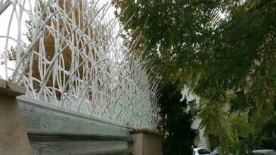 حفاظ شاخ گوزنی دیوار ساختمان در فشم