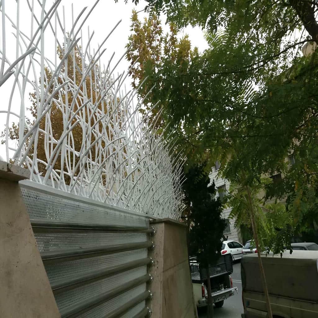 حفاظ شاخ گوزنی دیوار ساختمان در فشم