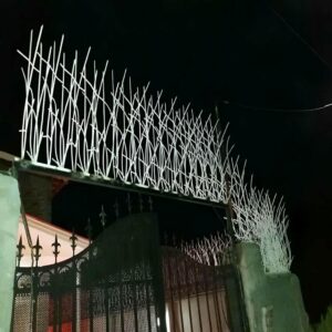 حفاظ شاخ گوزنی دیوار ساختمان در استان گیلان
