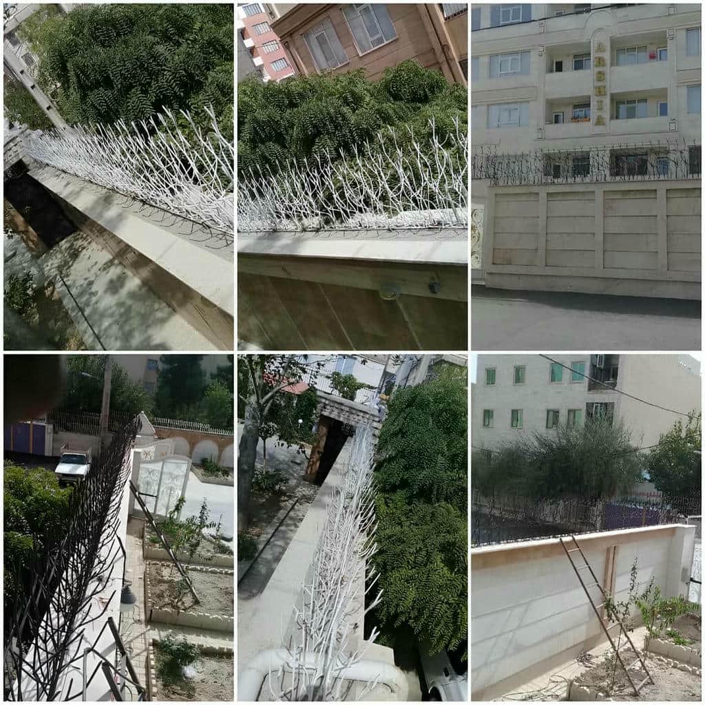 قیمت حفاظ شاخ گوزنی دیوار ساختمان نوک تیز در هشتگرد