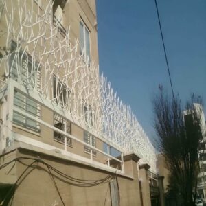 حفاظ شاخ گوزنی دیوار ساختمان در اردبیل