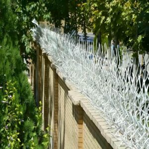 حفاظ شاخ گوزنی دیوار ساختمان در اصفهان