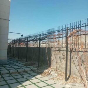 حفاظ شاخ گوزنی دیوار ساختمان در سیرجان