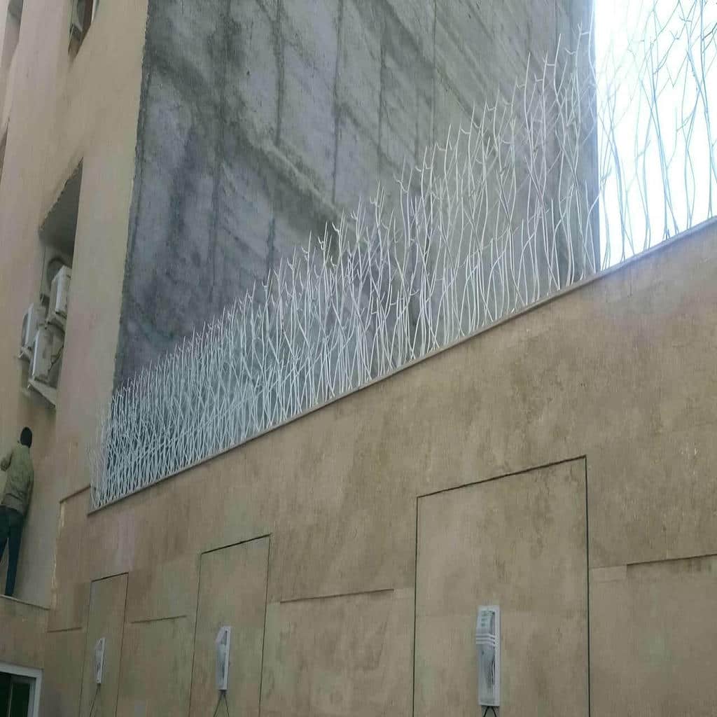حفاظ شاخ گوزنی دیوار ساختمان در کمال شهر