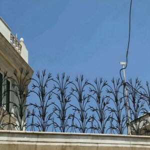 حفاظ شاخ گوزنی دیوار ساختمان در عظیمیه کرج