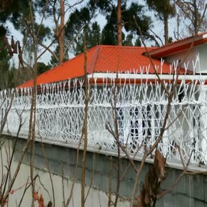 حفاظ شاخ گوزنی دیوار ساختمان در کاشان