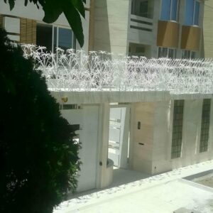 حفاظ شاخ گوزنی دیوار ساختمان در قائمشهر