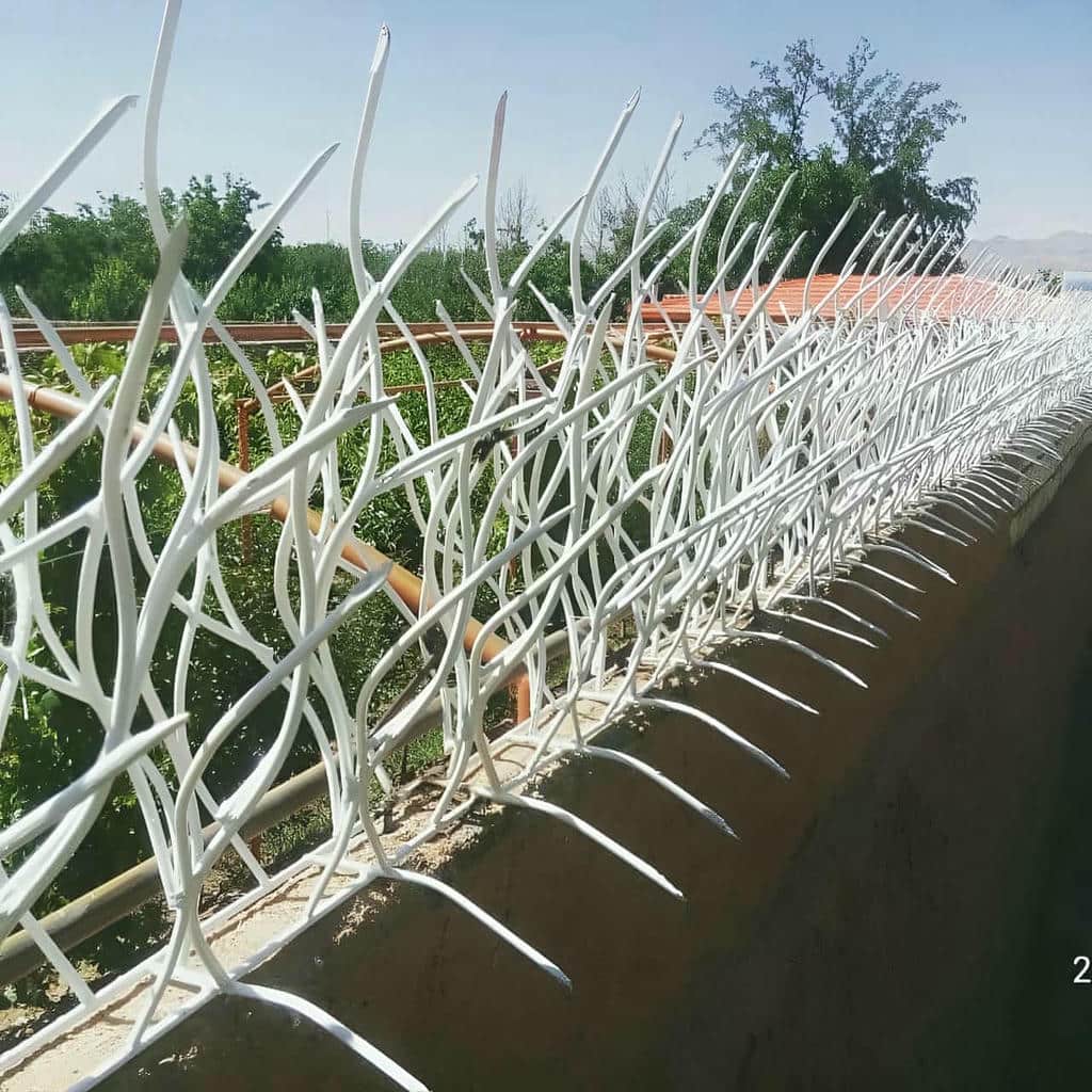 فروش حفاظ شاخ گوزنی دیوار ساختمان نوک تیز در استان خوزستان