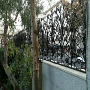 حفاظ شاخ گوزنی دیوار ساختمان در استان مازندران