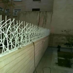 حفاظ شاخ گوزنی دیوار ساختمان در کرمان