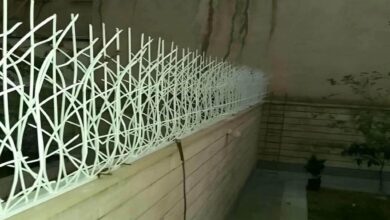 حفاظ شاخ گوزنی دیوار ساختمان در کرمان