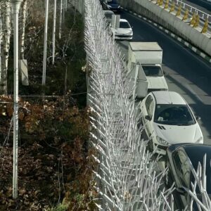 حفاظ شاخ گوزنی دیوار ساختمان در همدان