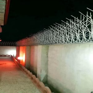 حفاظ شاخ گوزنی دیوار ساختمان در ملارد