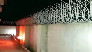 fence-wall-protection-deer-antler-spear-aqv