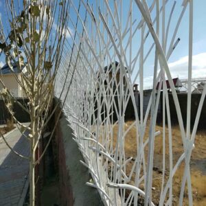 حفاظ شاخ گوزنی دیوار ساختمان در کرمانشاه