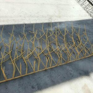 حفاظ شاخ گوزنی دیوار ساختمان در نظرآباد