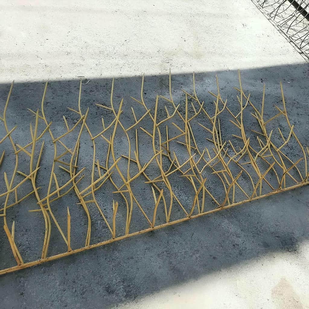 حفاظ شاخ گوزنی دیوار ساختمان در نظرآباد