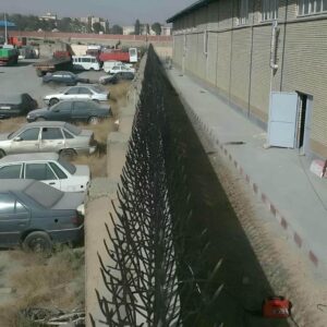 حفاظ شاخ گوزنی دیوار ساختمان در بابل