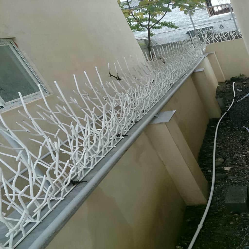 کارخانه حفاظ شاخ گوزنی دیوار ساختمان جوش یکنواخت در نسیم شهر