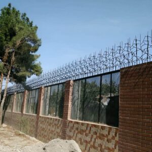 حفاظ شاخ گوزنی دیوار ساختمان در بجنورد