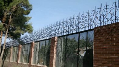 حفاظ شاخ گوزنی دیوار ساختمان در بجنورد