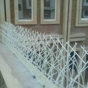 حفاظ شاخ گوزنی دیوار ساختمان در رفسنجان