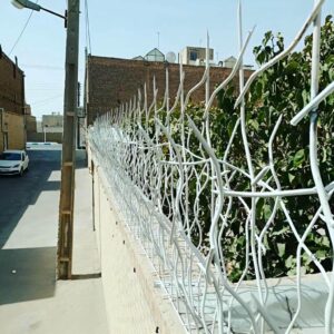 حفاظ شاخ گوزنی دیوار ساختمان در استان گلستان