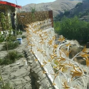 حفاظ شاخ گوزنی دیوار ساختمان در شیراز