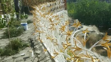 حفاظ شاخ گوزنی دیوار ساختمان در شیراز