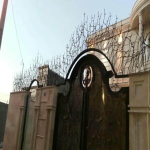 حفاظ شاخ گوزنی دیوار ساختمان در یاسوج