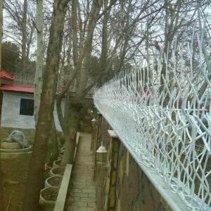 حفاظ شاخ گوزنی دیوار ساختمان در مشهد