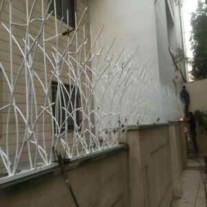 حفاظ شاخ گوزنی دیوار ساختمان در سبزوار
