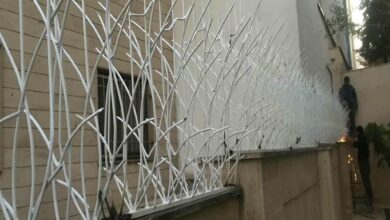 حفاظ شاخ گوزنی دیوار ساختمان در سبزوار