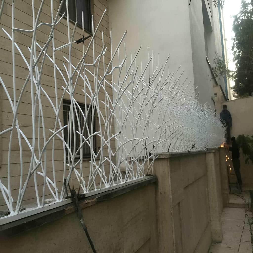 حفاظ شاخ گوزنی دیوار ساختمان در سبزوار