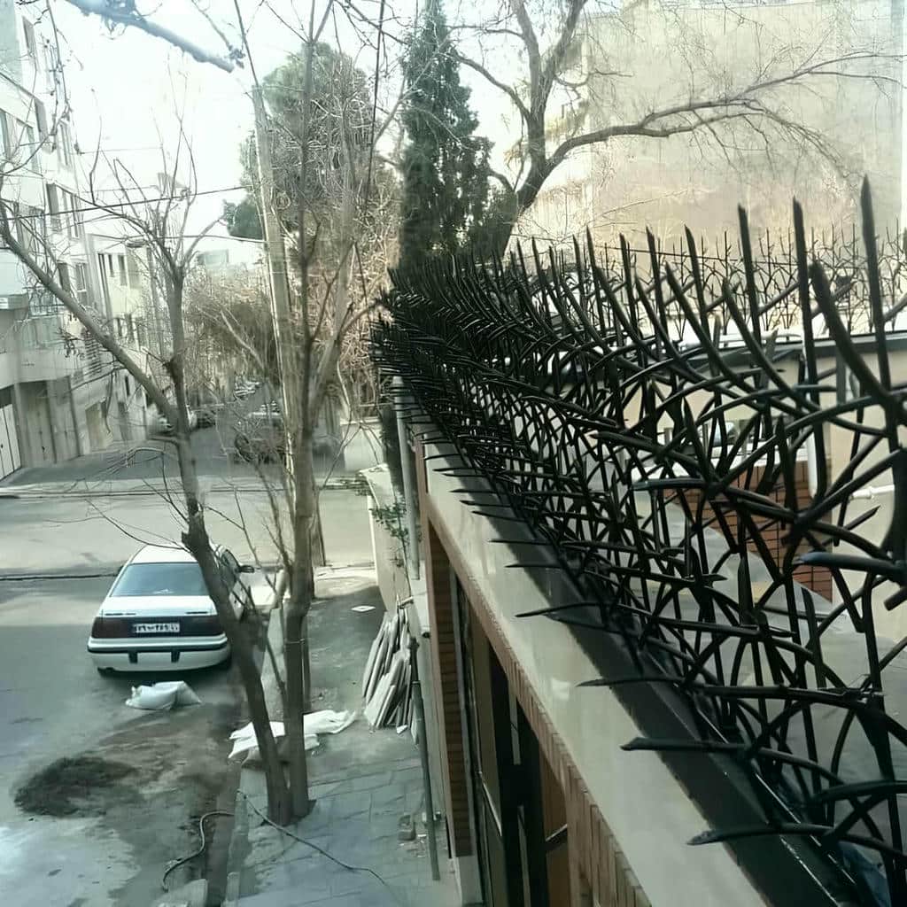 قیمت حفاظ شاخ گوزنی دیوار ساختمان پوشش فضای باز در شهریار