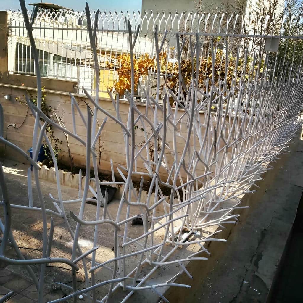 کارخانه حفاظ شاخ گوزنی دیوار ساختمان شاخه درهم در استان مازندران
