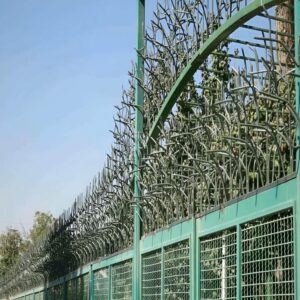 حفاظ شاخ گوزنی دیوار ساختمان در گرگان