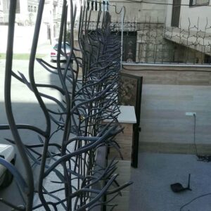 حفاظ شاخ گوزنی دیوار ساختمان در اراک