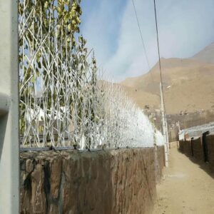حفاظ شاخ گوزنی دیوار ساختمان در پرند