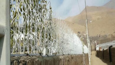 حفاظ شاخ گوزنی دیوار ساختمان در پرند