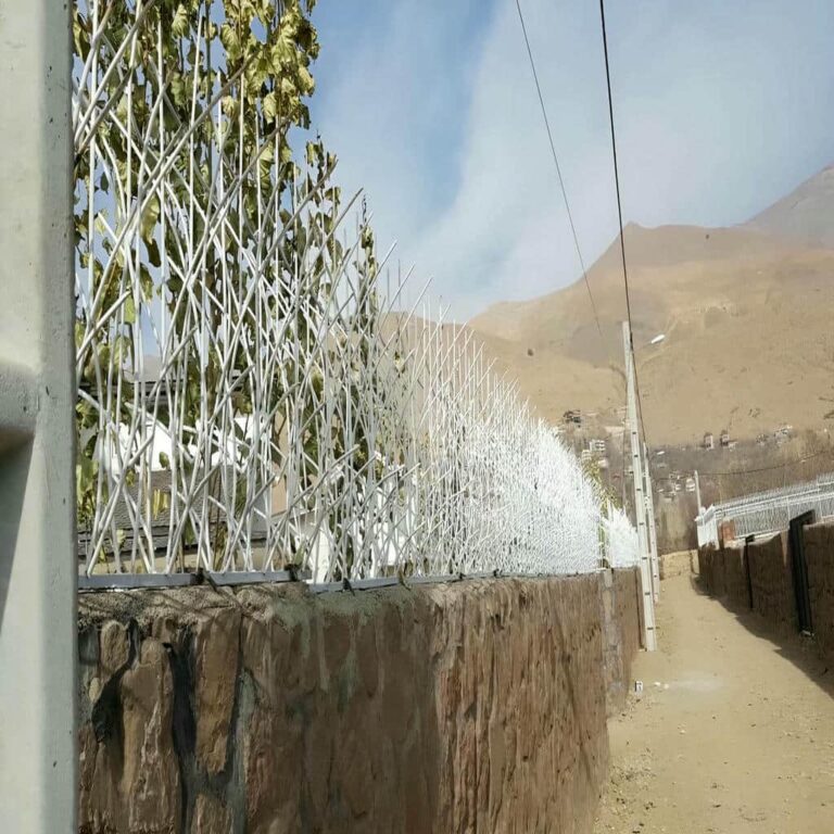 حفاظ شاخ گوزنی دیوار ساختمان در پرند