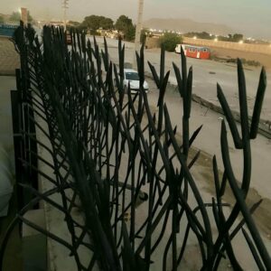 حفاظ شاخ گوزنی دیوار ساختمان در ساوه