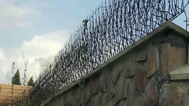 fence-wall-protection-deer-antler-spear-xh