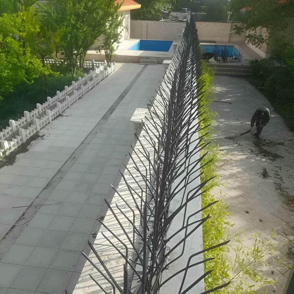 خرید حفاظ شاخ گوزنی دیوار ساختمان نوک برنده در اشتهارد