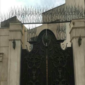 حفاظ شاخ گوزنی دیوار ساختمان در بیرجند