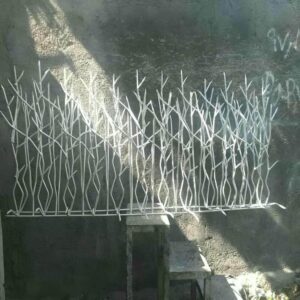 حفاظ شاخ گوزنی دیوار ساختمان در یزد